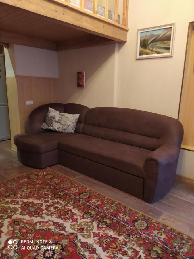 Apartment Na Shevchenka 3 إلفيف المظهر الخارجي الصورة